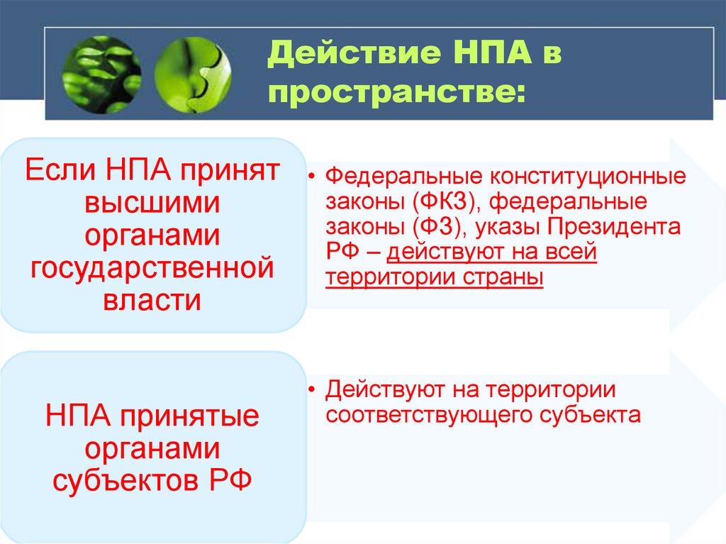 Действие нормативно правовых актов