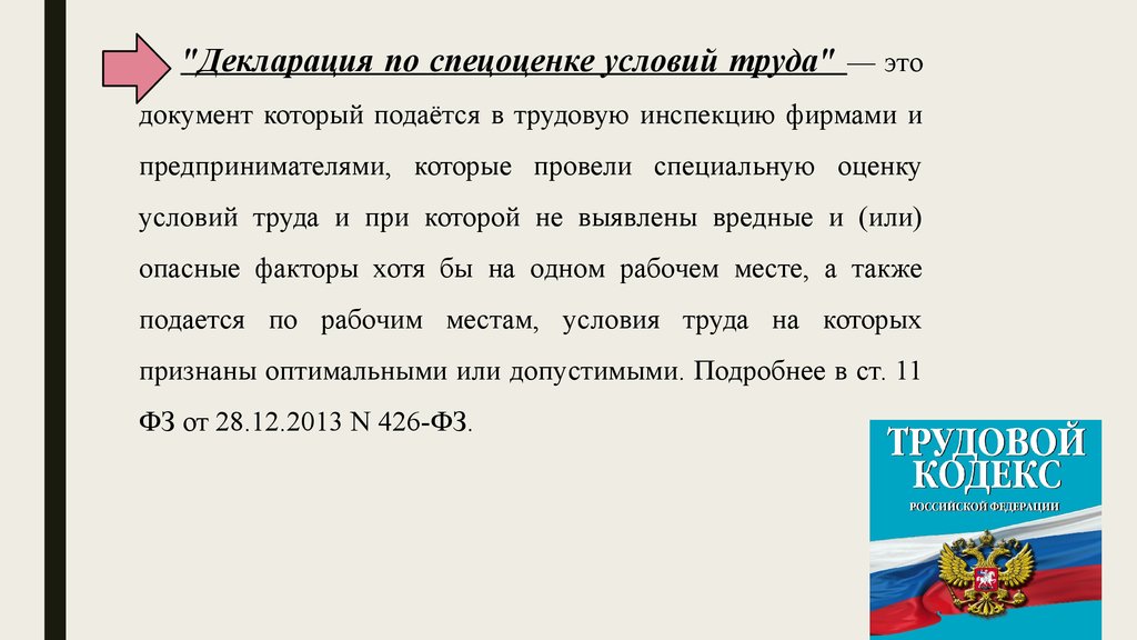 Трудовая инспекция это. Кем разработана декларация независимой жизни. Составление декларации по Уралу классная работа.