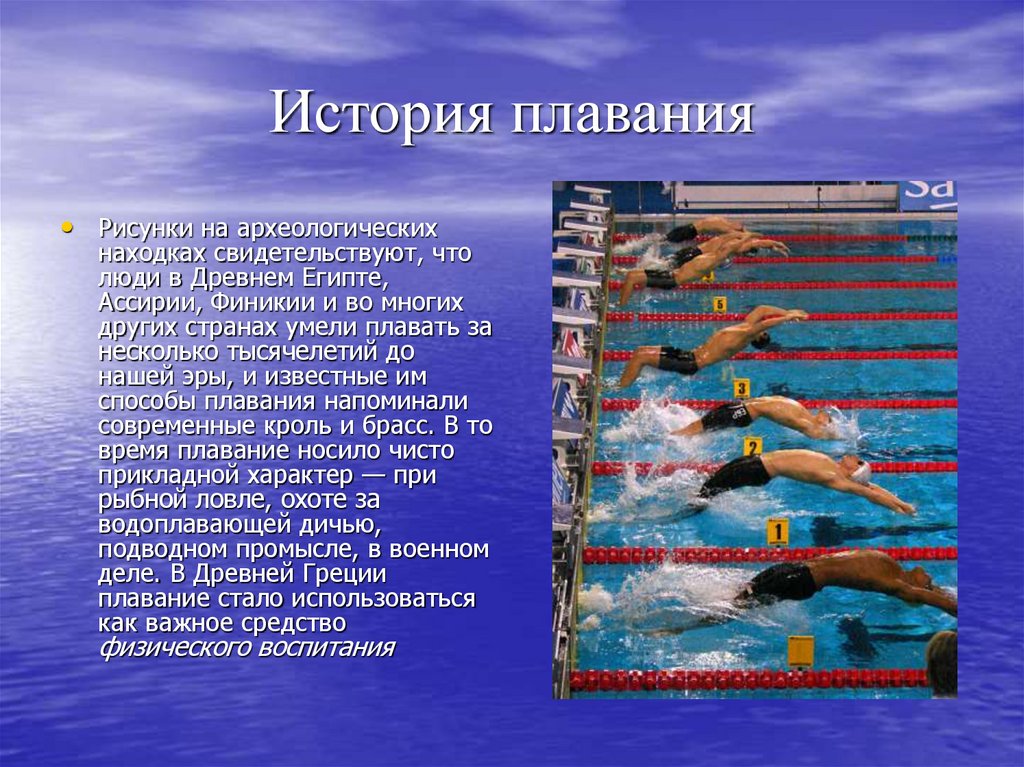 Как пишется плавчиха. Сообщение о плавании по физкультуре. Техники плавания. Плавание презентация. Презентация на тему плавание.