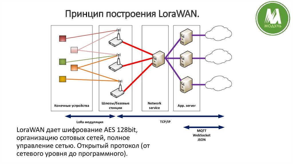 Базовая сеть