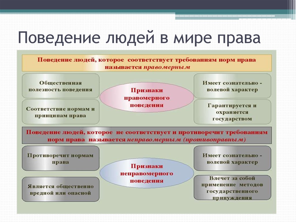 Виды правового поведения схема