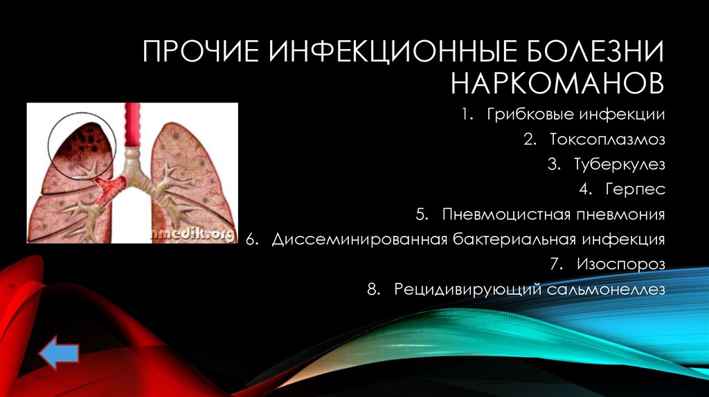 О вреде наркогенных веществ презентация 8 класс биология