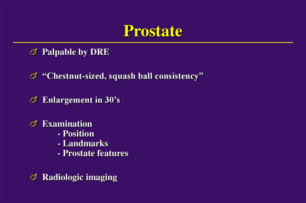 Prostate