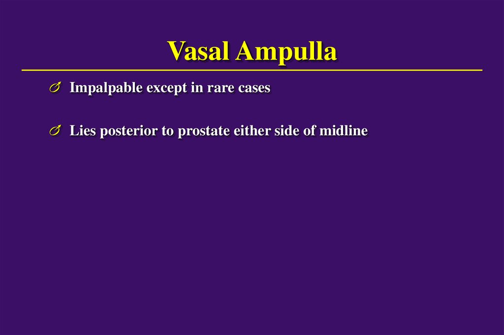 Vasal Ampulla