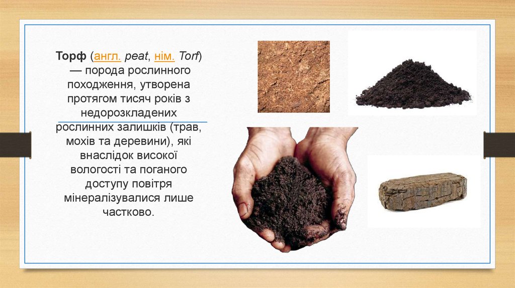Торф (англ. peat, нім. Torf) — порода рослинного походження, утворена протягом тисяч років з недорозкладених рослинних залишків