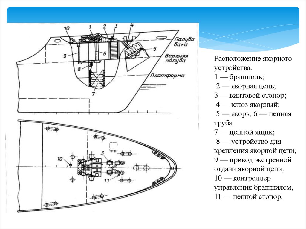 Устройство означает. Схема якорного устройства ледокола. Схема расположения судовых устройств. Схема якорно швартовного устройства. Якорное устройство судна.