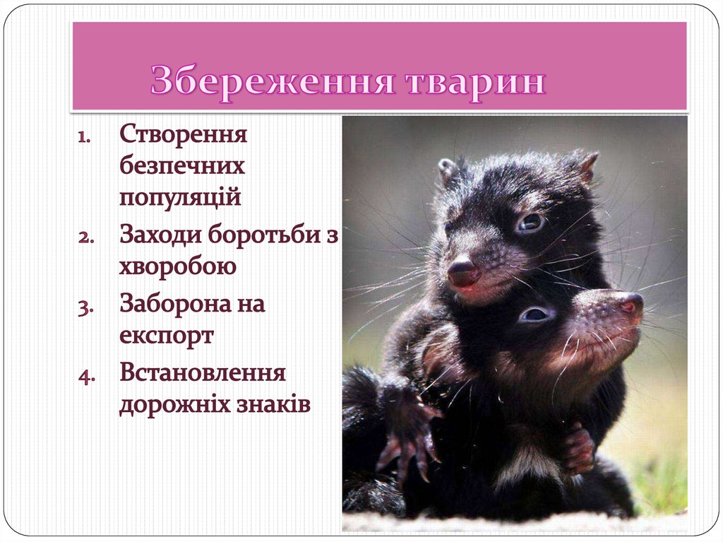 Збереження тварин