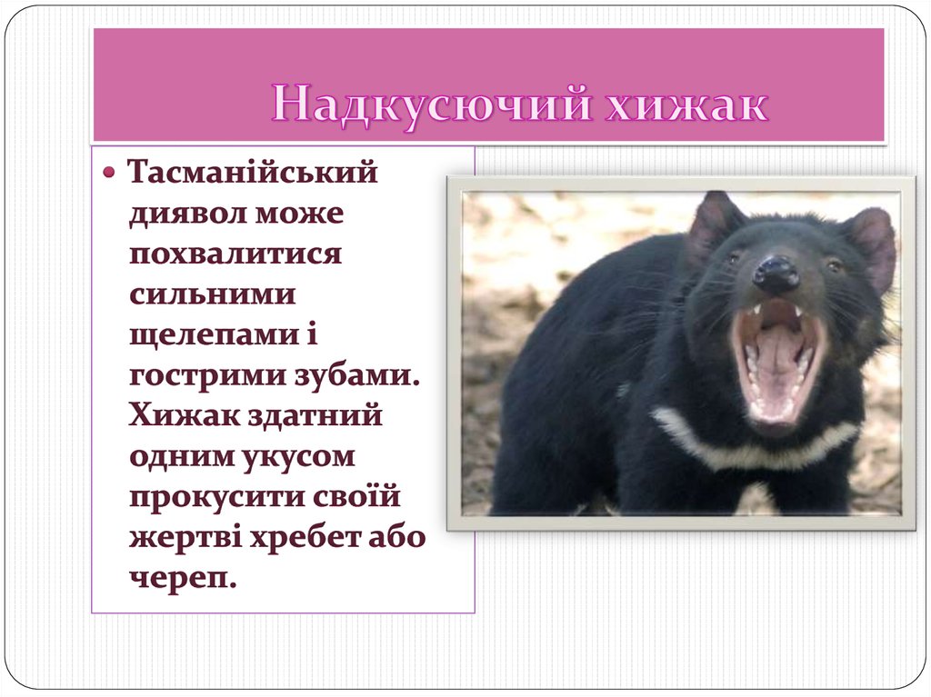 Надкусючий хижак