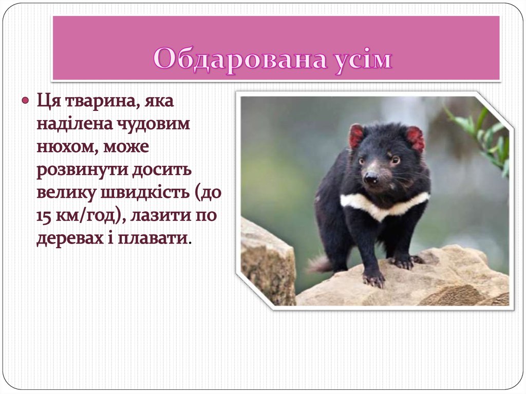 Обдарована усім