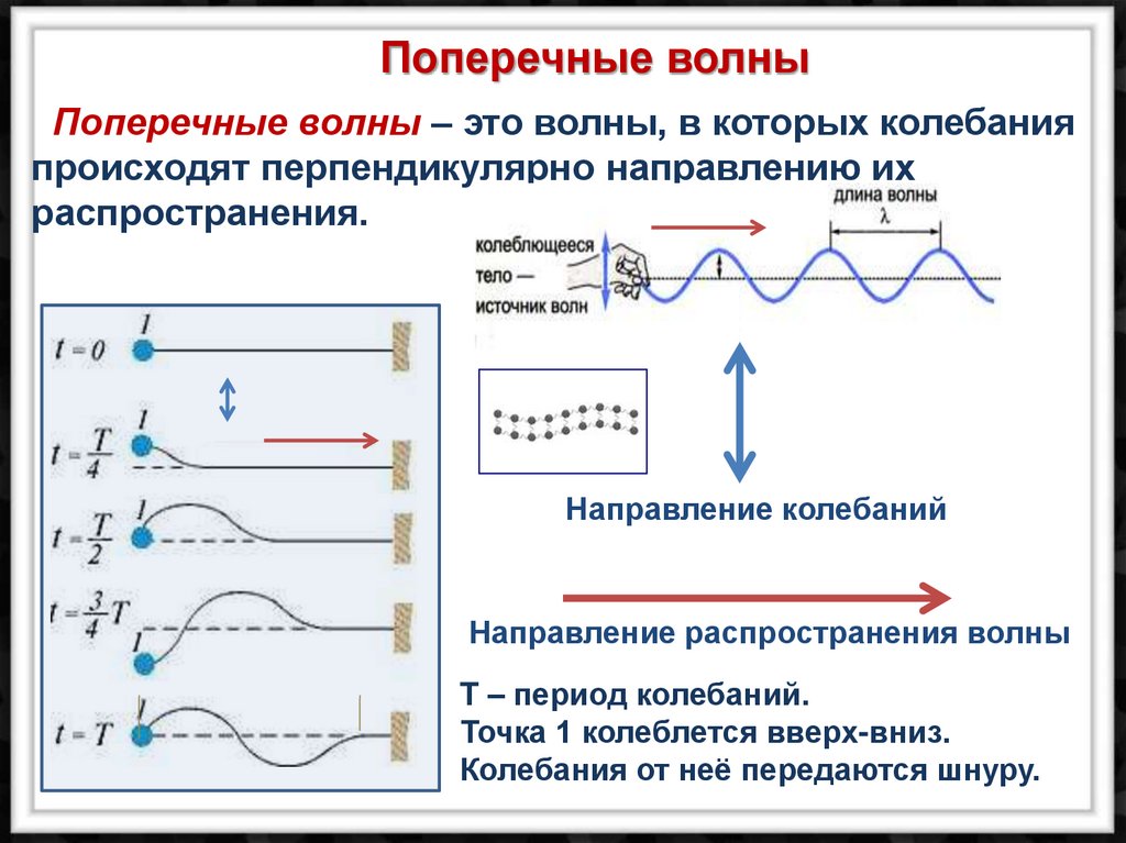 Волной называются колебания. Продольные и поперечные колебания физика 9 класс. Продольные и поперечные волны 9 класс. Как определить направление волны физика. Продольные и поперечные механические волны и их фазовые скорости..