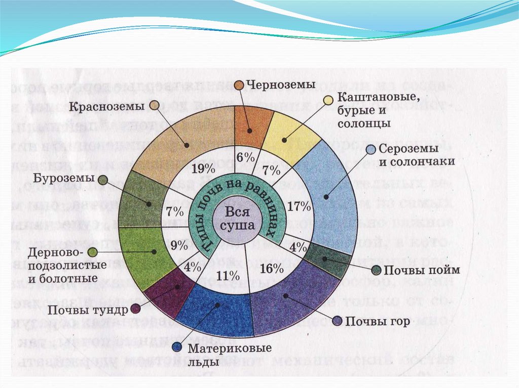Установите последовательность образования почвы. Разнообразие почв России. Основные типы почв. Почвы разнообразие почв. Типы почв схема.