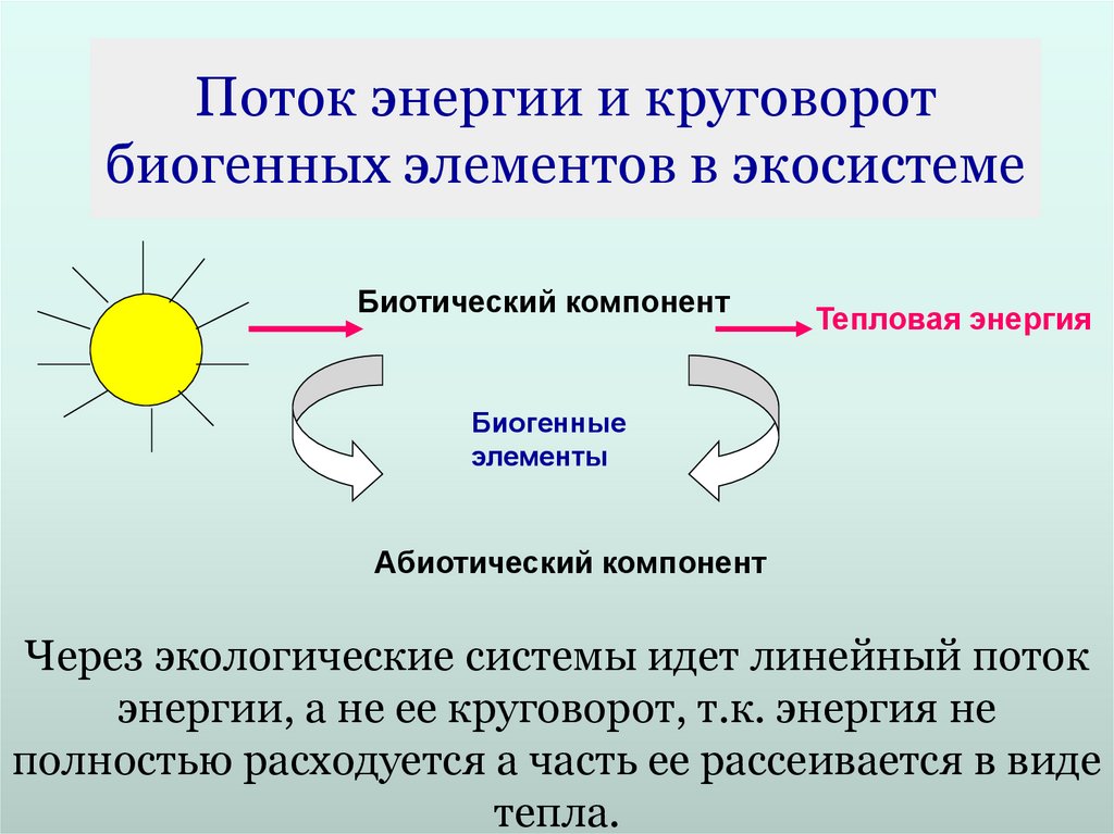 Какое преобразование энергии осуществляется в солнечных. Круговорот энергии в экосистеме. Круговорот биогенных элементов. Круговорот биогенных веществ и потоки энергии в экосистемах. Биогенный круговорот веществ.