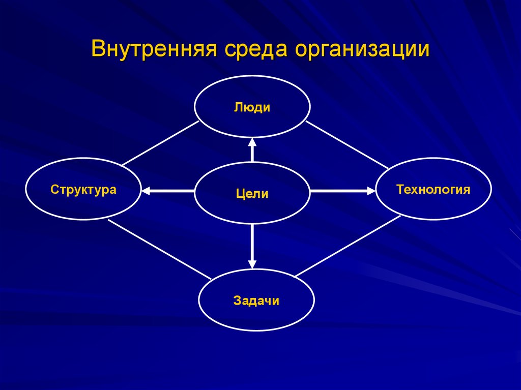 Организация ее цели и структура. Структура внутренней среды организации. Из чего состоит внутренняя среда организации. Состав внутренней среды организации. Структура внутренней среды организации рисунок.