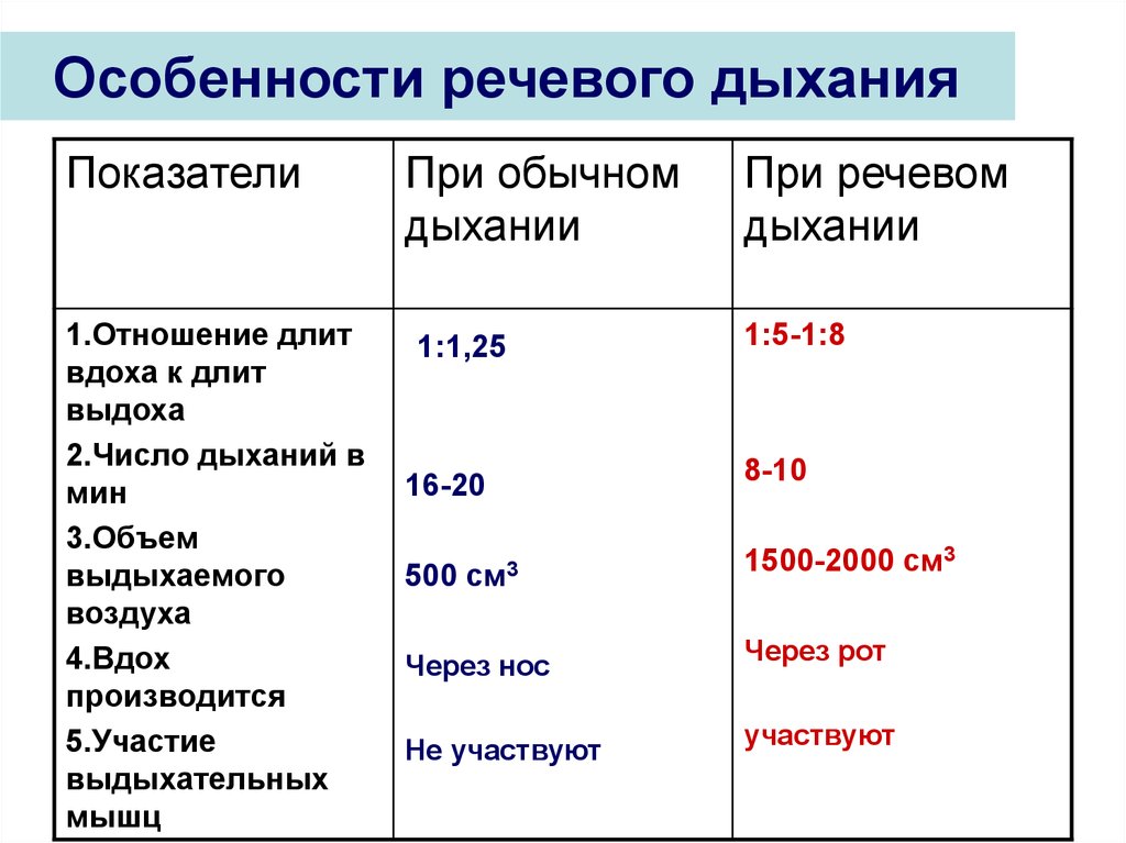 Главные характеристики речи