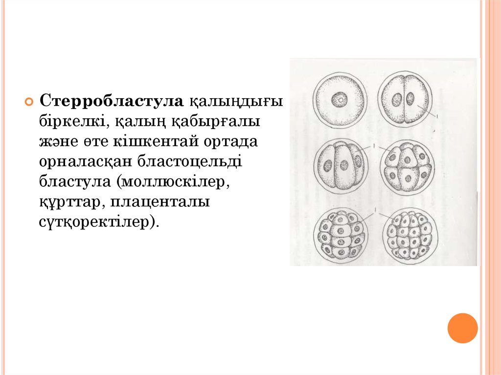 Қарқынды жыныстық қозуды не тудырады? ВКонтакте желісіндегі үштік секс видеосы
