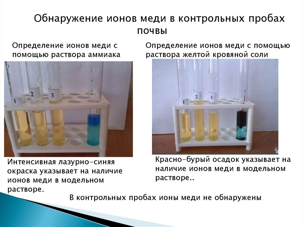 Как называется часть площади опытного участка включающая полный набор вариантов схемы опыта