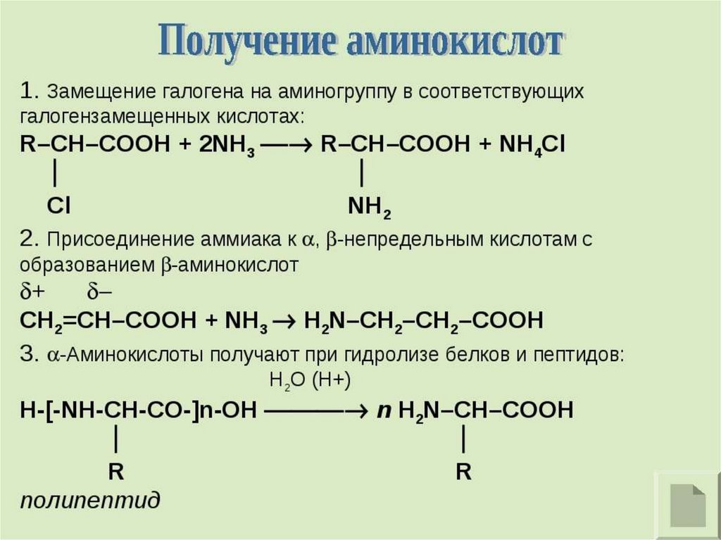 Аминомасляная кислота формула