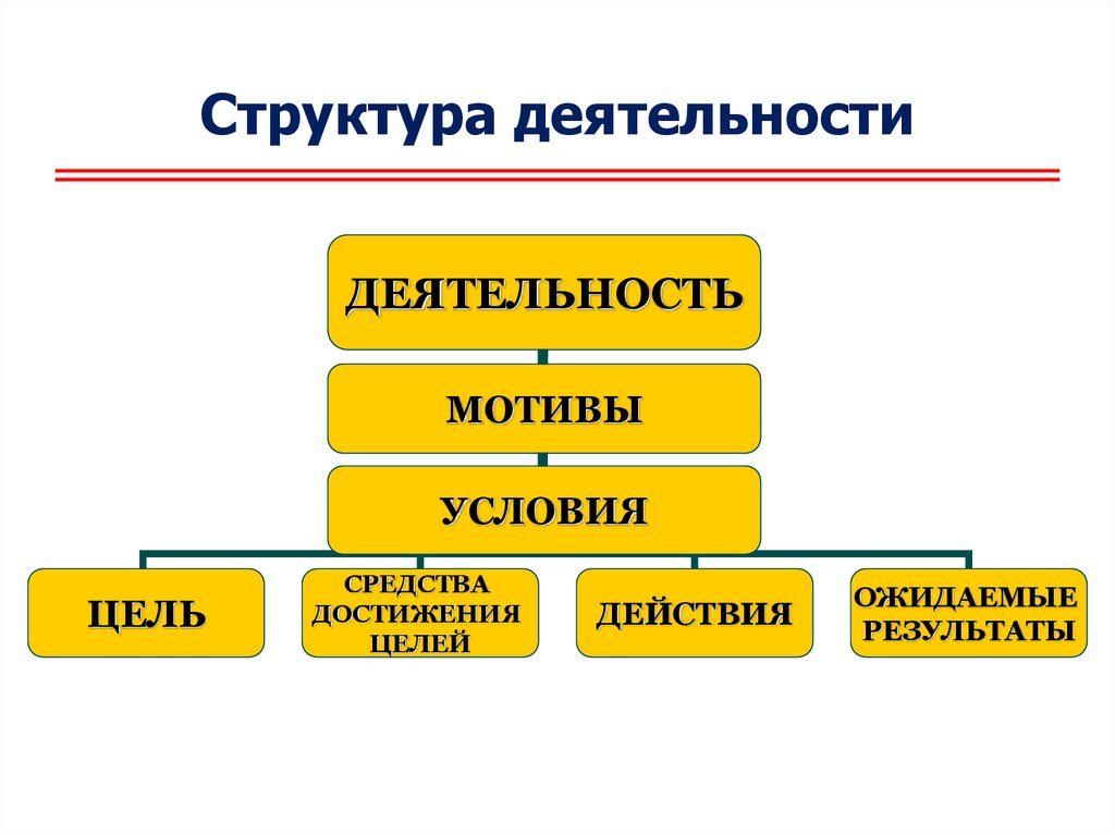 4 структуры деятельности