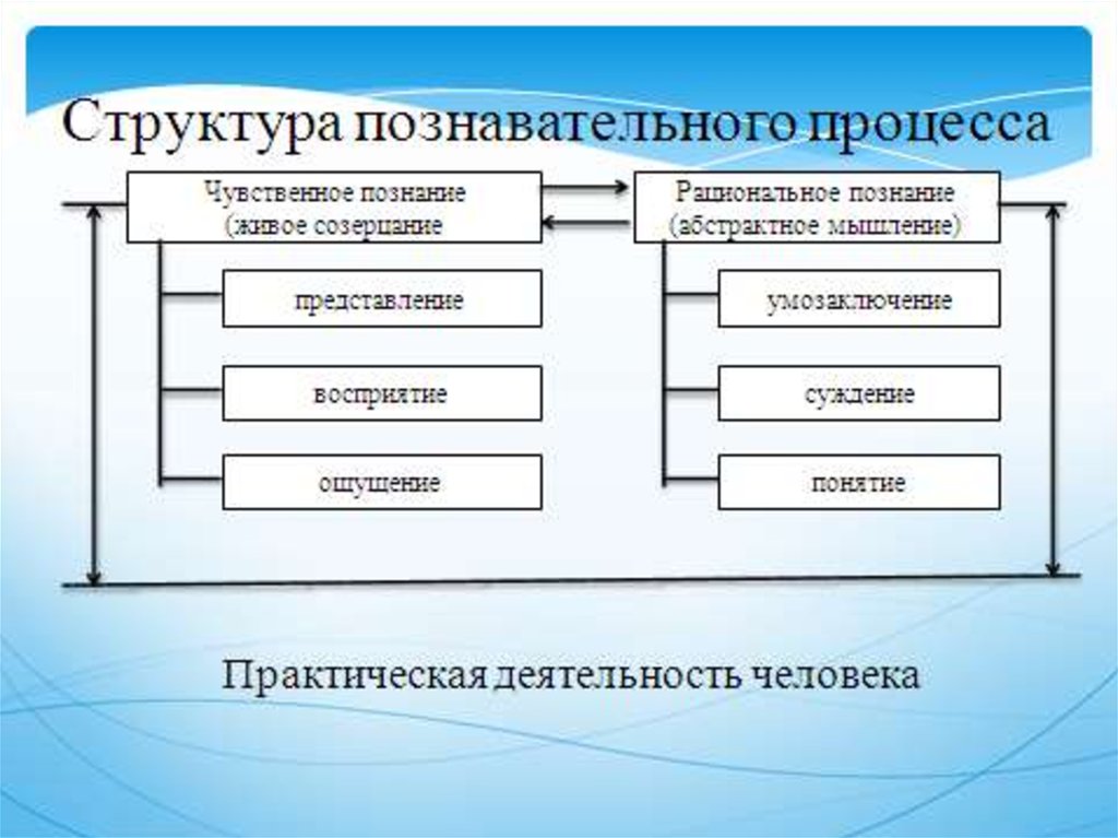 Структура познавательной. Структура познавательного процесса. Иерархия познавательных процессов. Структура познавательного процесса в философии. Познавательный процесс философия.