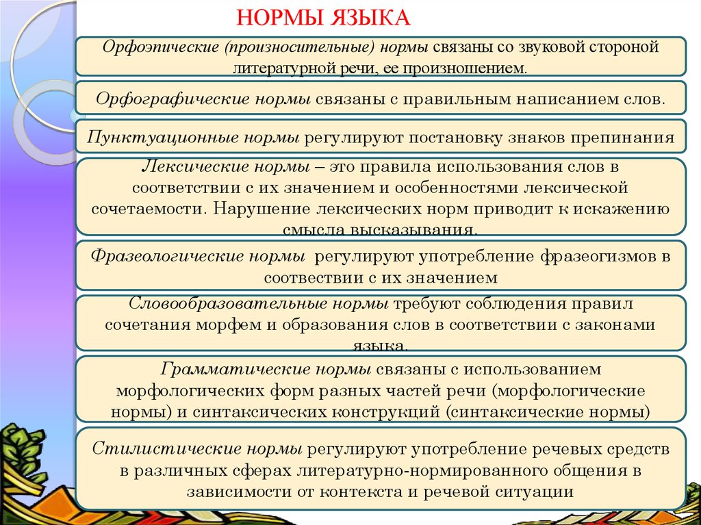 Соответствие речи нормам литературного языка. Орфографические нормы нормы примеры. Пунктуационные нормы русского литературного языка. Орфографические и пунктуационные нормы примеры. Орфографические нормы литературного языка.