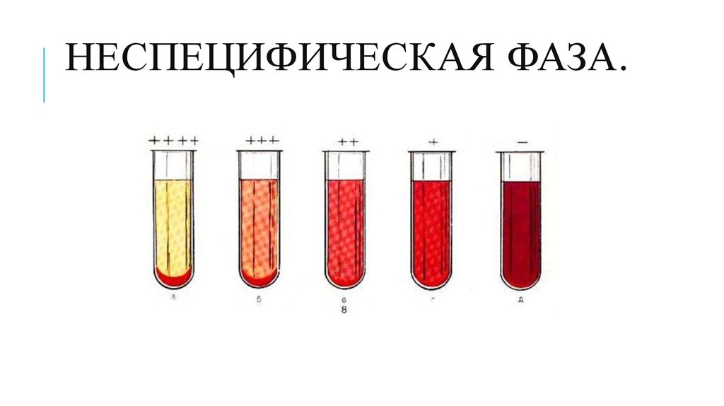 Виды серологических реакций схема - 85 фото