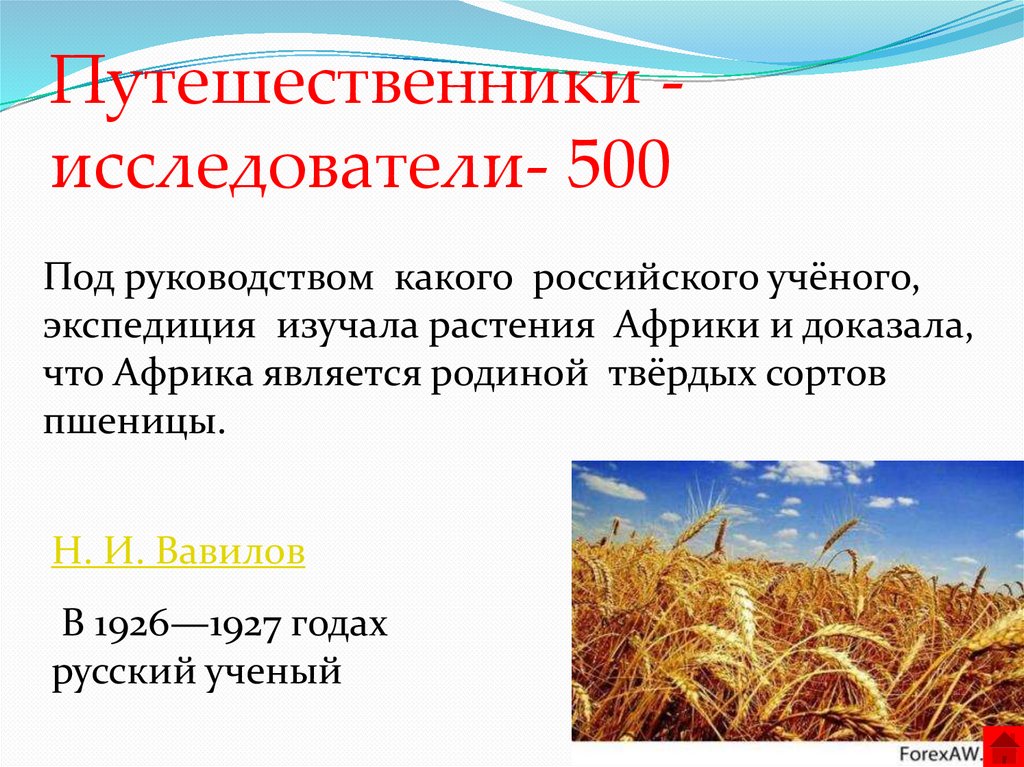 Крупнейшим производителем пшеницы является