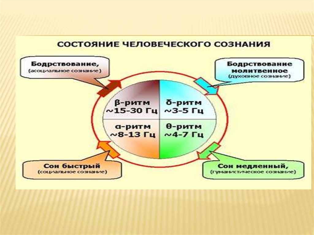 Сознательная деятельность человека