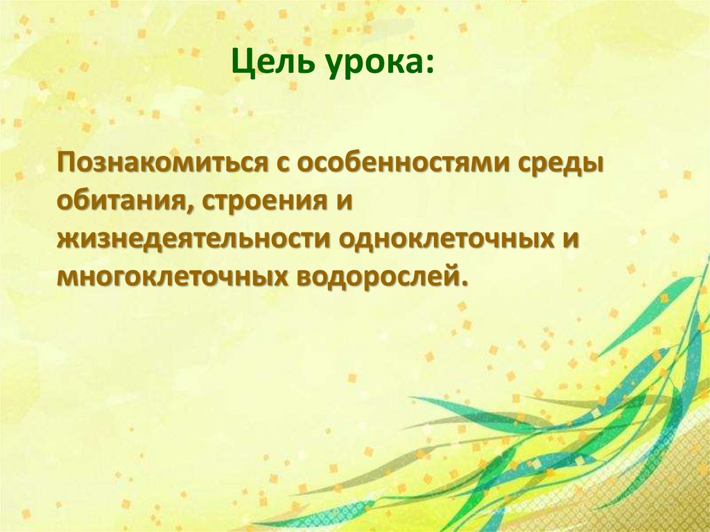 Выбери картинки на которых изображены водоросли