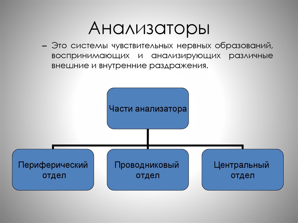 Анализатор это. Внешние и внутренние анализаторы человека. Анализаторы биология. Анализатор это в психологии. Анализаторы это системы чувствительных нервных образований.