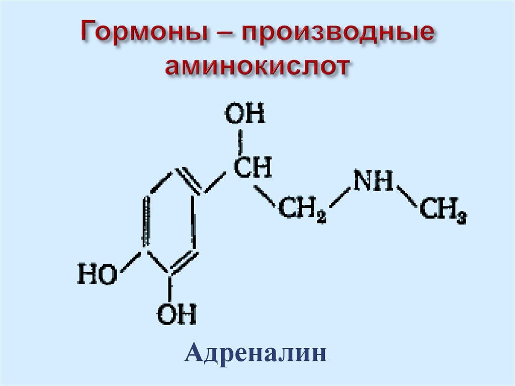 Производные аминокислот