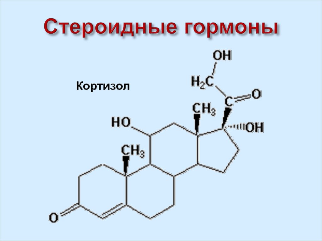 Стероидные гормоны