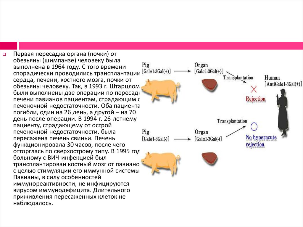 Этические проблемы ксенотрансплантации презентация