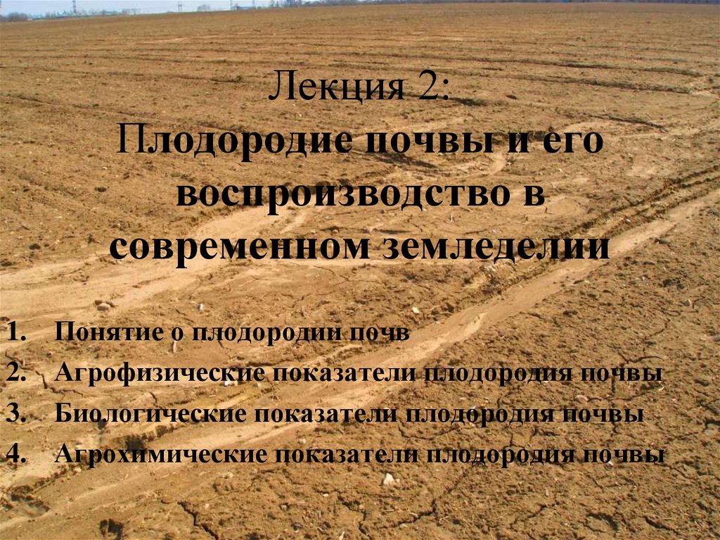 Закон о плодородии. Воспроизводство плодородия почвы. Пути повышения плодородия почв. Способы воспроизводства плодородия почвы. Плодородие почвы.