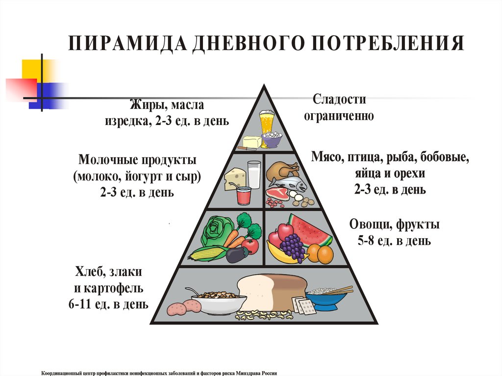 Основа пищевой пирамиды