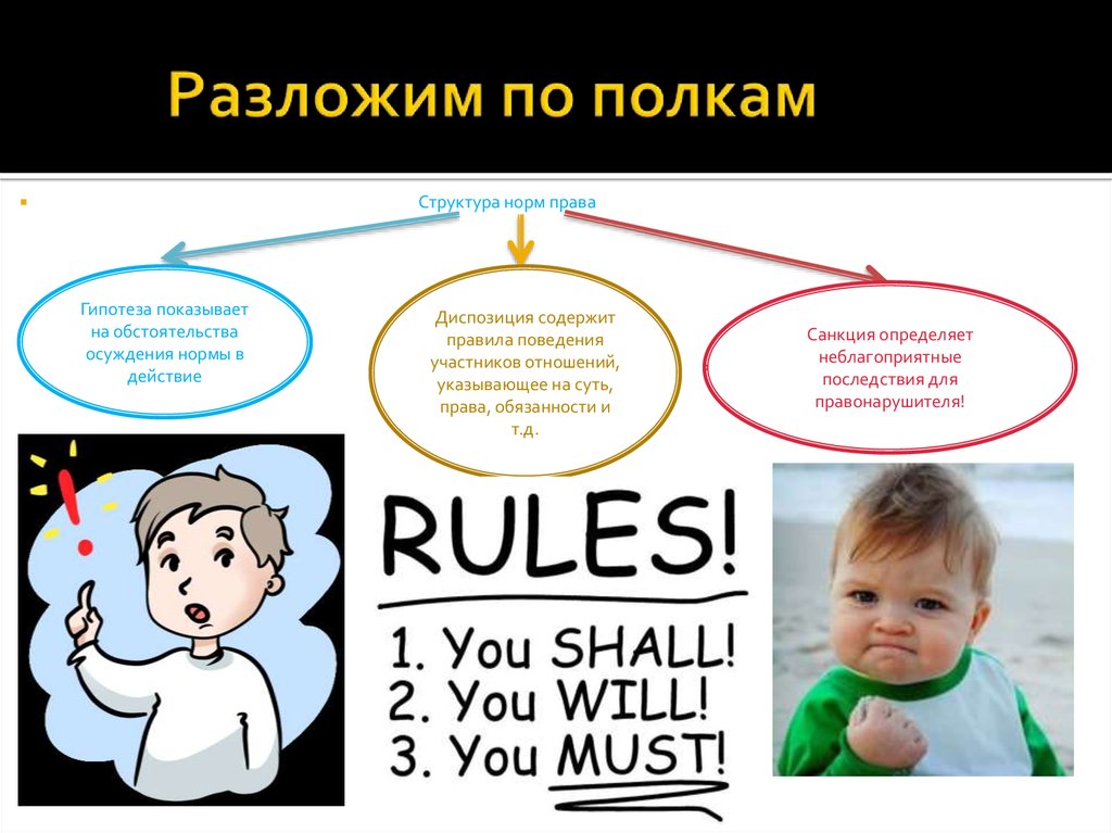 Разложим по полкам