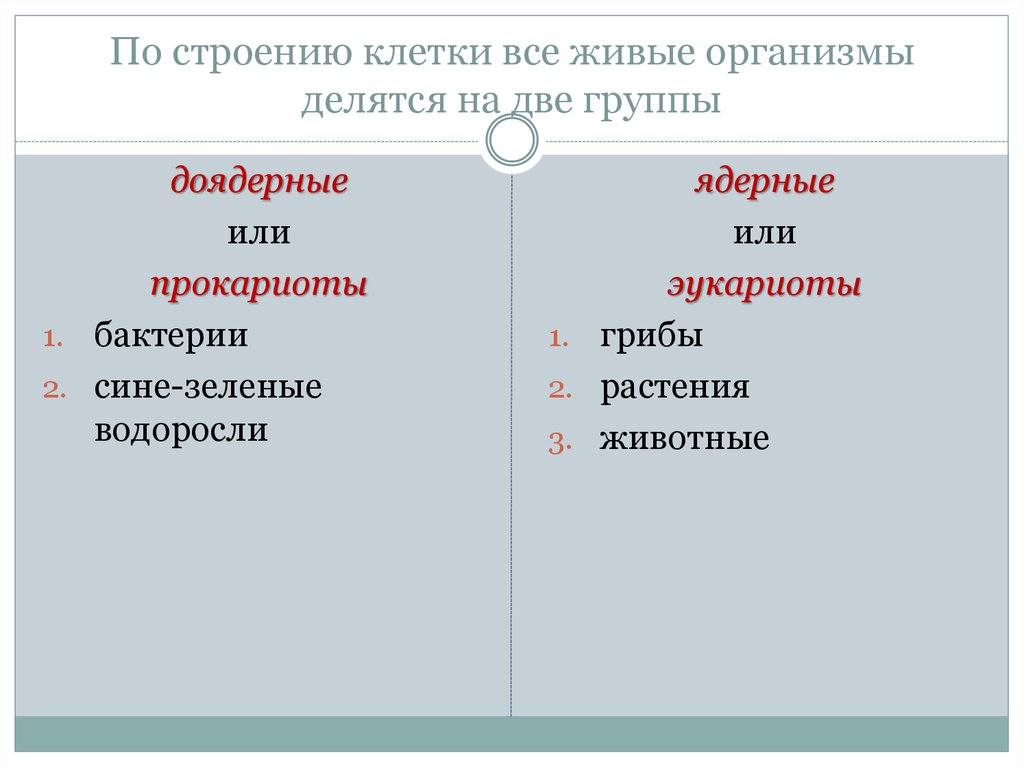 Организмы делятся на. Живые организмы делятся на. Группы живых организмов делятся на. Организмы делятся на две группы. Клетки делятся на 2 группы.