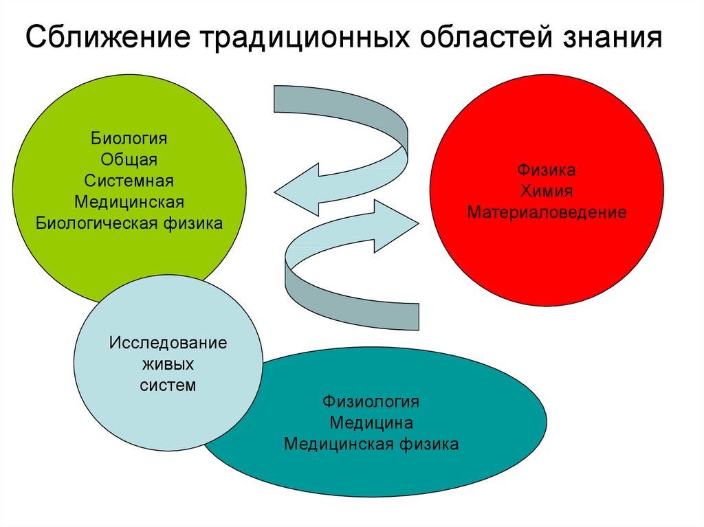 Биологические исследования. Исследование для презентации.