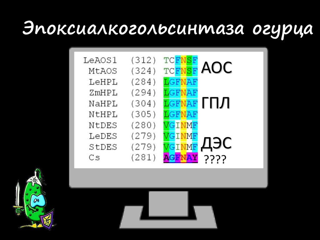 Эпоксиалкогольсинтаза огурца