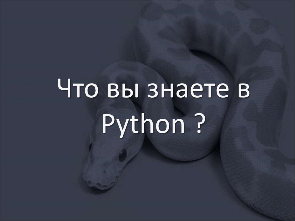 Презентация о python