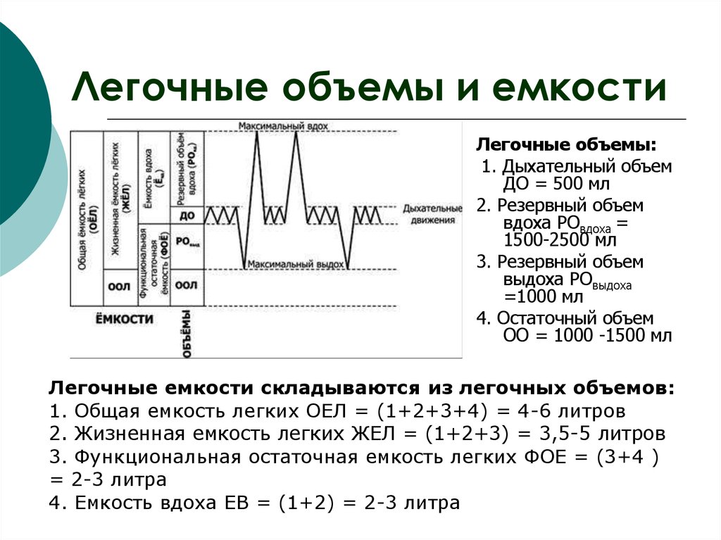 Схема функционального деления общей емкости легких среднестатистического взрослого человека