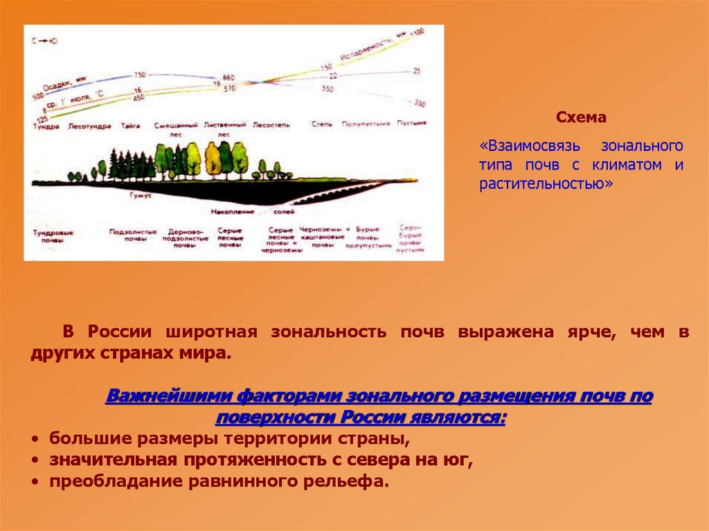 Широтная зональность схема