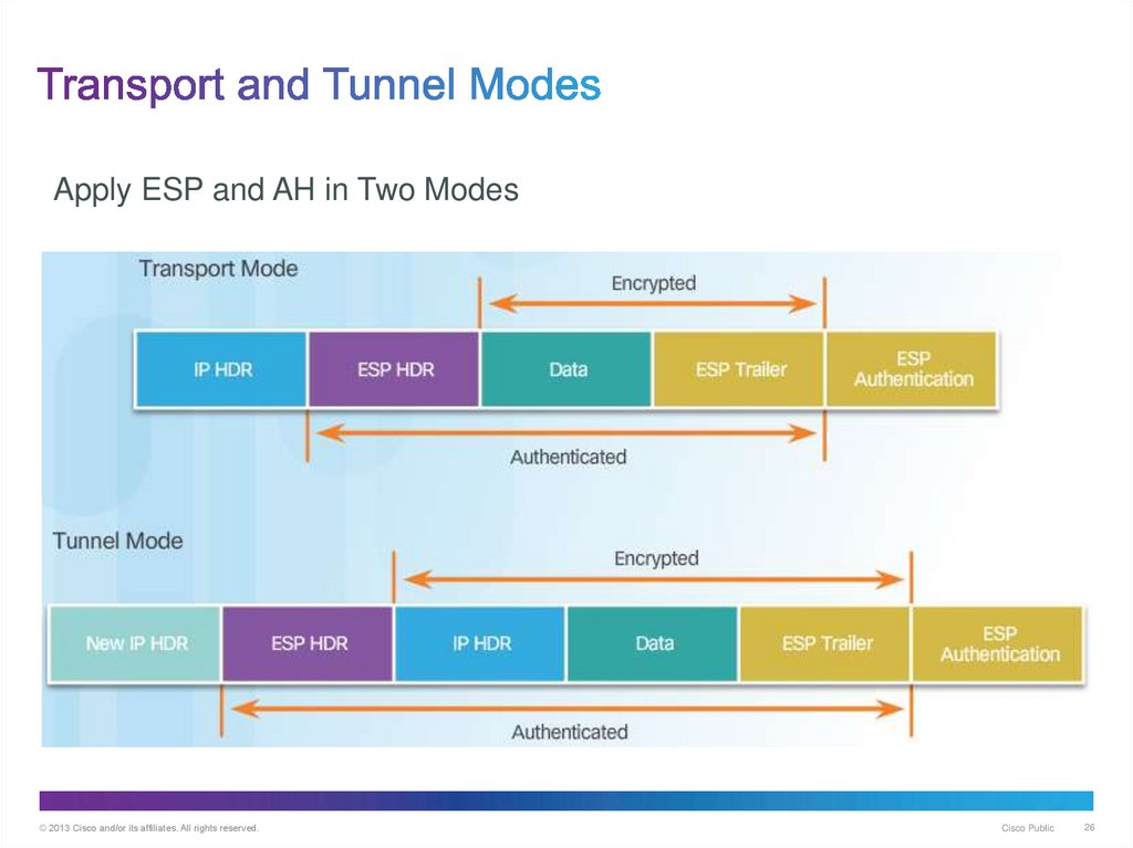 Transport and Tunnel Modes
