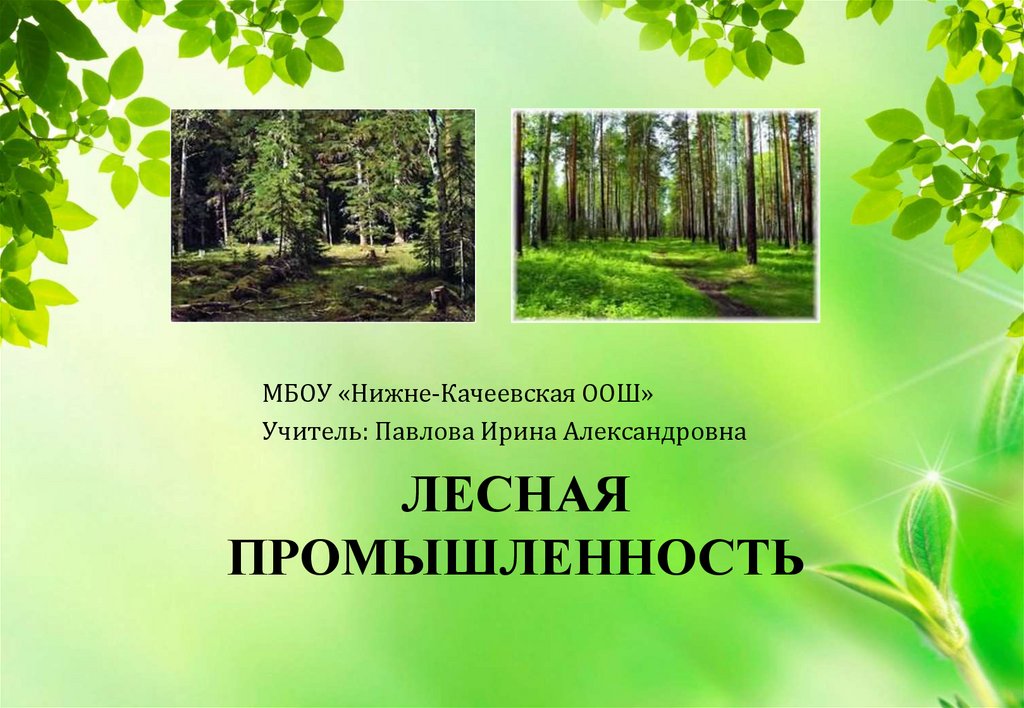 Лесная промышленность.9 класс презентация. МБОУ Лесная ООШ. Лесная промышленность 9 класс.презентация урока по географии по теме. Интересные факты о Лесной промышленности.