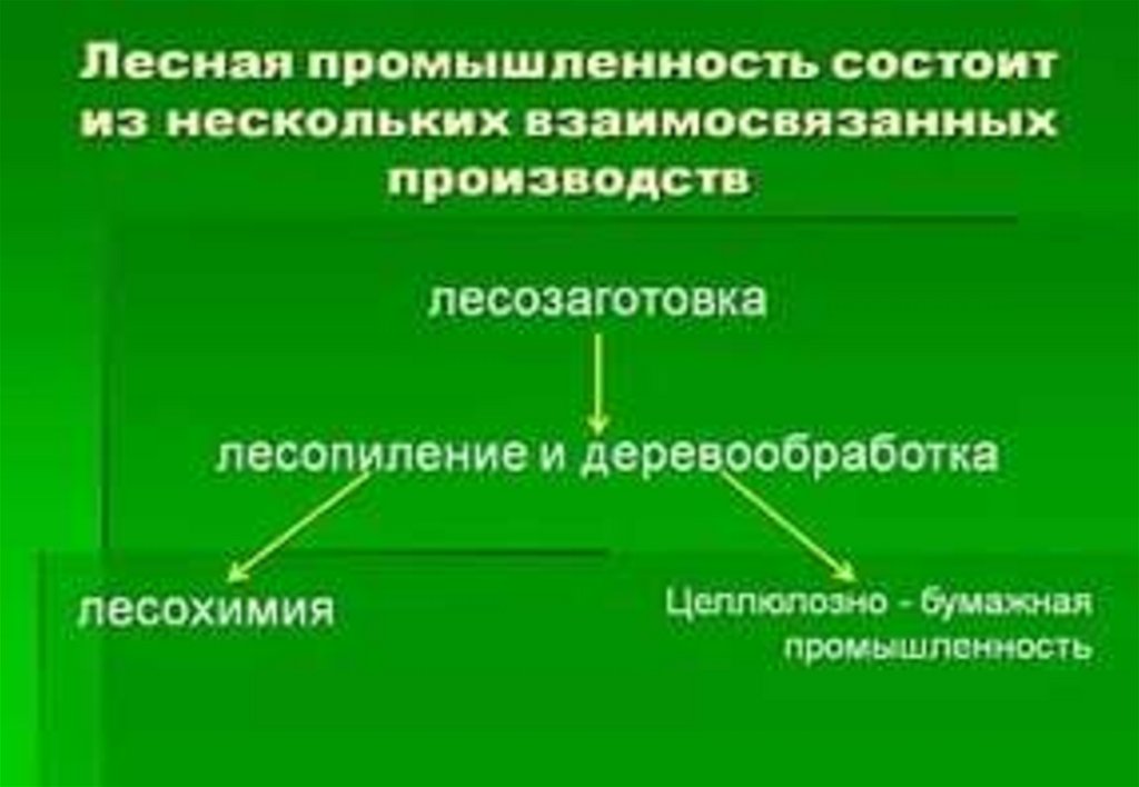 Отрасли лесной промышленности. Стадии Лесной промышленности. Отрасли леснойпромышлености. Лесная промышленность производство.