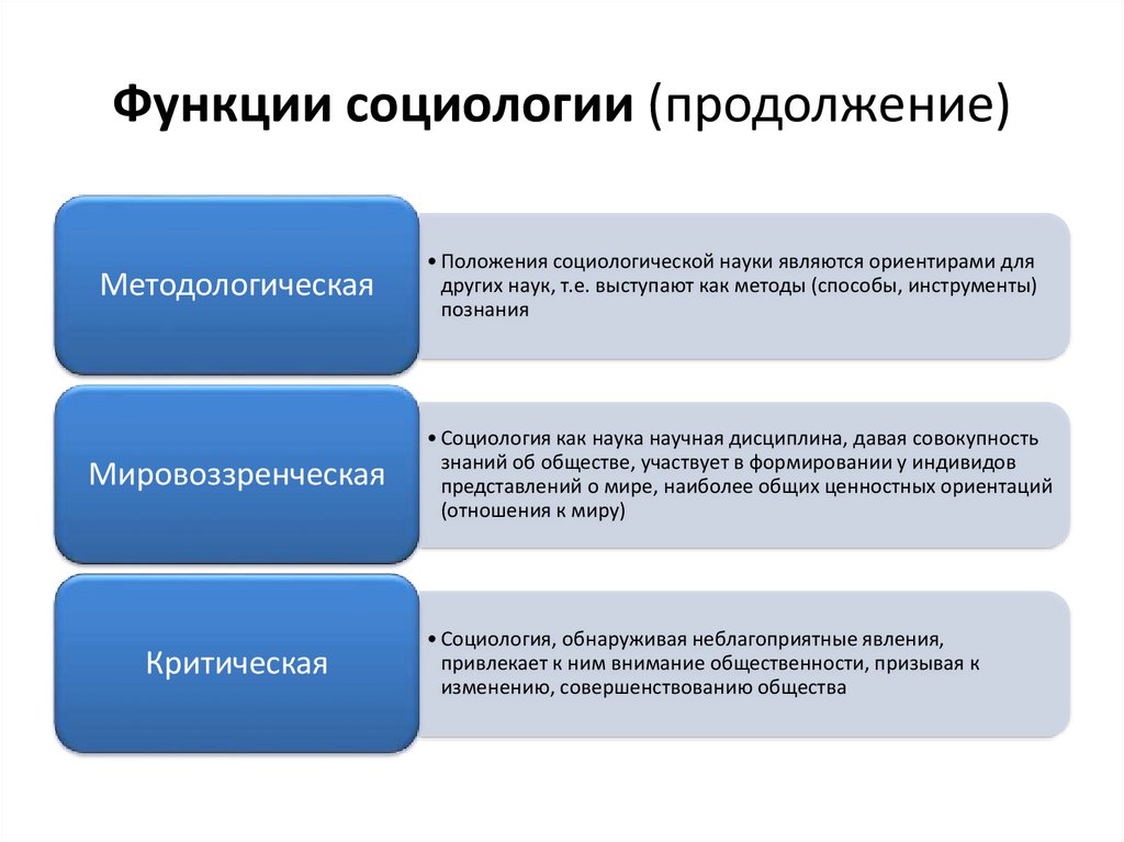 Как функционирует общество