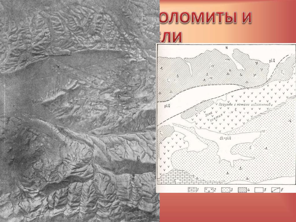 ИЗВЕСТНЯКИ, ДОЛОМИТЫ И МЕРГЕЛИ