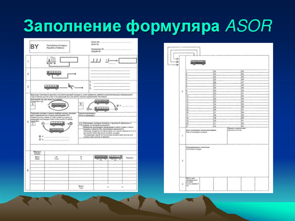 Ремонтный формуляр образец