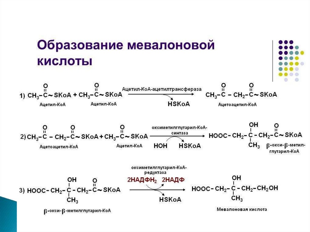 Ацетил сайт. Химизм реакции образования мевалоновой кислоты. Ацетоацетил КОА является промежуточным продуктом синтеза. Биосинтез мевалоновой кислоты. Реакция образования ацетил КОА.