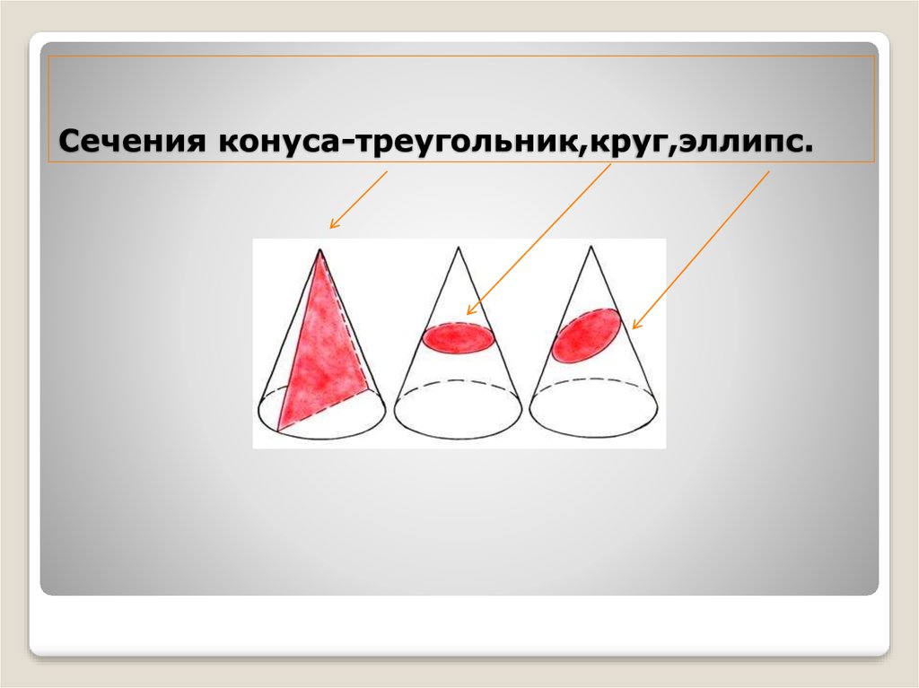 Сечение конуса треугольник. Треугольное сечение конуса. Круглые тела конус. Разрез конуса треугольник.