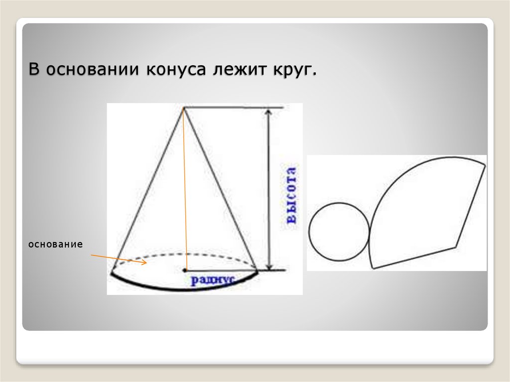 Конус 6 класс презентация